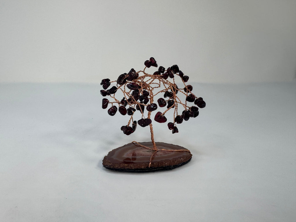 Crystal Tree -Rooted Passion Tree