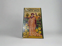 Apprentice Tarot Deck - A Guided Journey with the Universal Waite