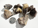 Septarian (sm) Raw