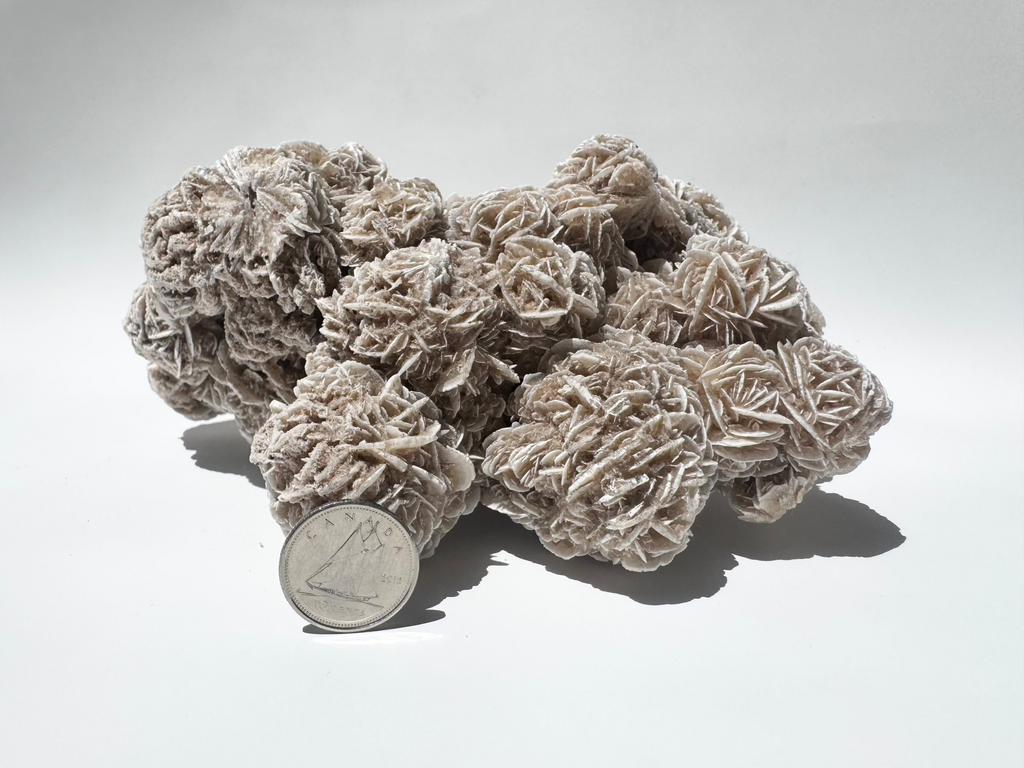 Desert Rose Cluster (a)